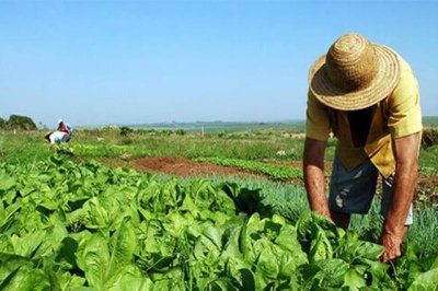 MPF obtém decisão para que Justiça Federal julgue disputas de posse em terras da União mesmo quando Incra não é parte