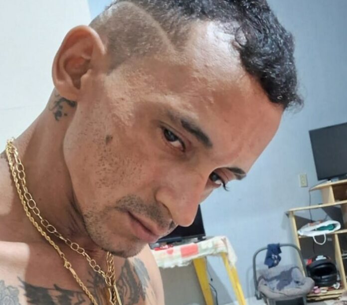 mortocerejeiras