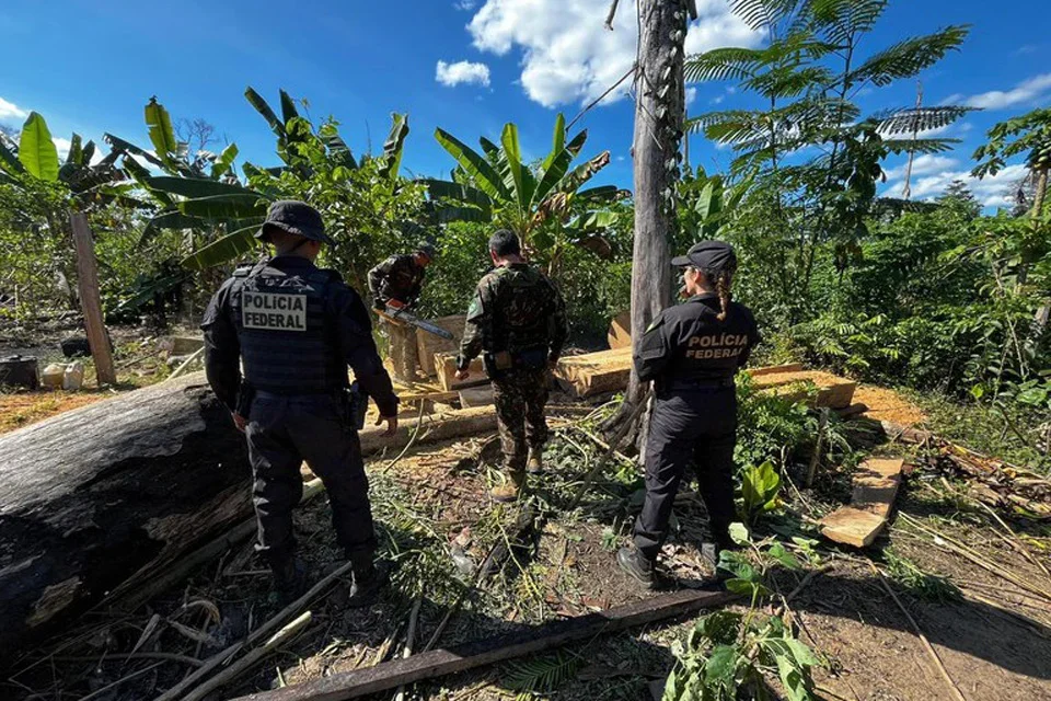 PF mira grilagem e incêndio criminoso em terra indígena de Rondônia
