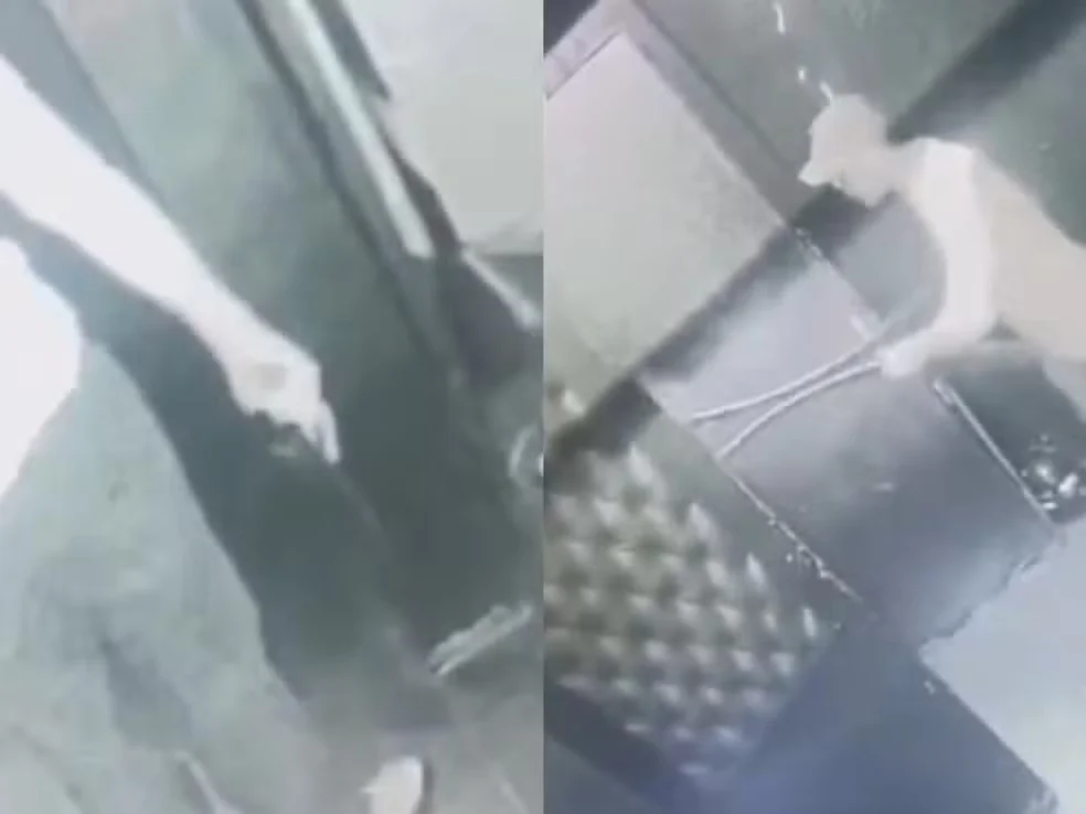 Oficial da PM se envolve em agressão em boate de RO