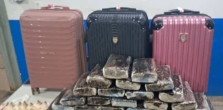 Mulher é flagrada transportando 28 kg de maconha em RO