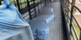 Motorista é preso com 261 kg de skunk em RO