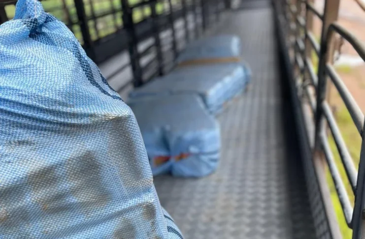 Motorista é preso com 261 kg de skunk em RO