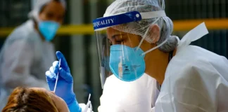 Vírus animais ameaçam o mundo com nova pandemia