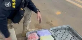 Passageira é flagrada com mala cheia de skunk em RO
