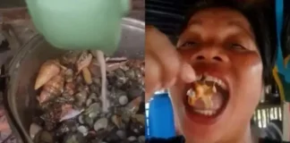 Influenciadora morre após comer caranguejo raro