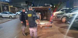 Homem é preso por tentativa de estupro em RO