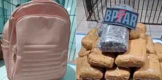 Garota de 16 anos é apreendida com 20 kg de maconha em RO