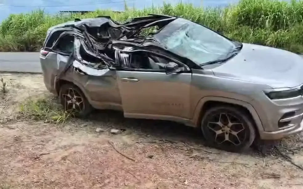 Árvore cai sobre carro e mata bebê de 1 ano no Carnaval