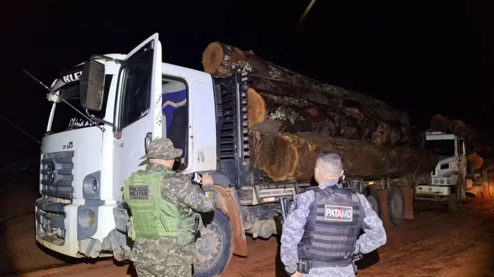 Criminosos ambientais devastam reserva em RO