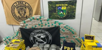 Ação policial apreende 400 kg de entorpecentes em RO