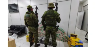 Casal é preso com quase 400 quilos de drogas em RO