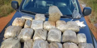 Dupla é presa com 21 tabletes de skunk em RO