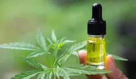 Decisão histórica: canabidiol gratuito é garantido em RO