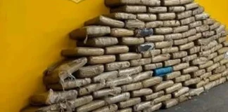 Apreensão gigante de supermaconha em Vilhena