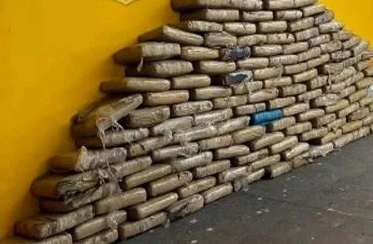 Apreensão gigante de supermaconha em Vilhena