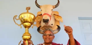 Morre presidente da Associação dos Cornos de RO