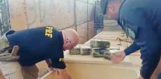 Mais de 1 tonelada de supermaconha vinda de RO é apreendia