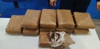Passageira é presa com 10 kg de maconha em Vilhena