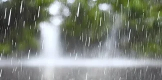 Quinta-feira de chuvas e trovoadas em RO