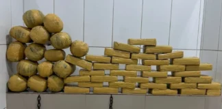 Maconha apreendida após denúncia em RO