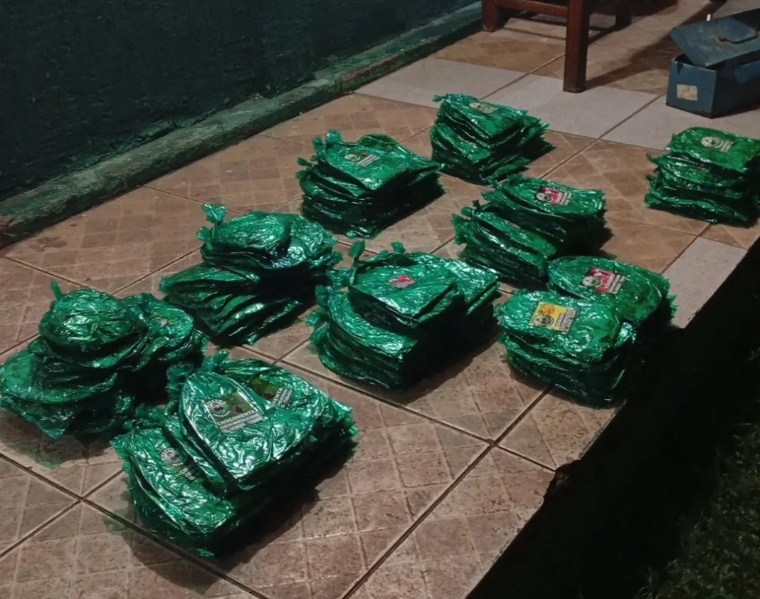 Mais de 9 kg de folha coca são apreendidos em RO