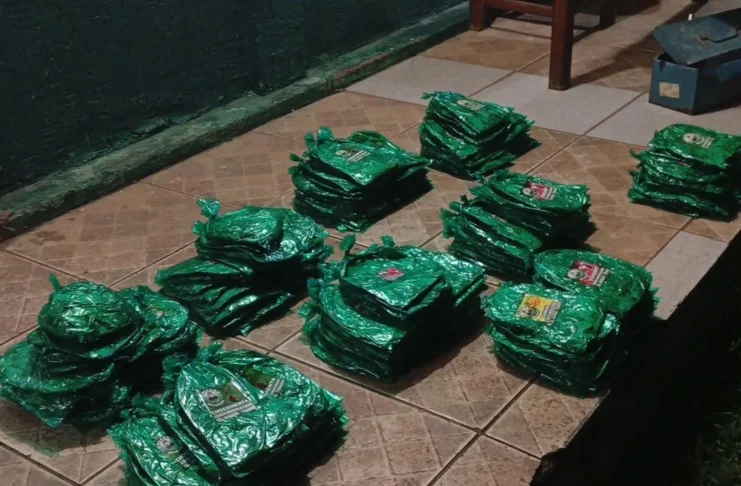 Mais de 9 kg de folha coca são apreendidos em RO