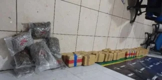 70 kg de drogas são apreendidos em cidade de RO
