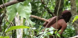 Chupinguaia terá Parque Nacional Tanaru