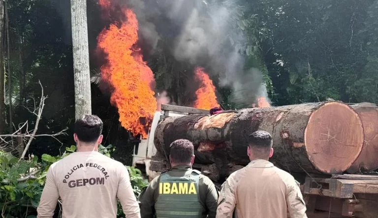 Caminhões são flagrados com madeira ilegal em RO