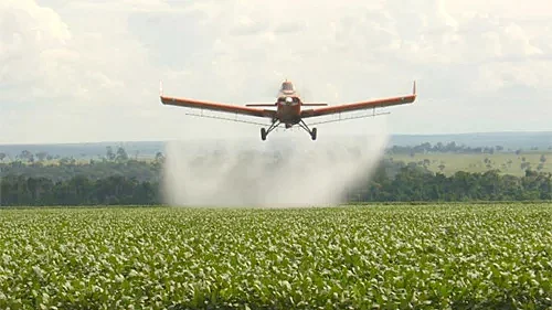 Sojicultores são acusados de contaminar área em Rondônia