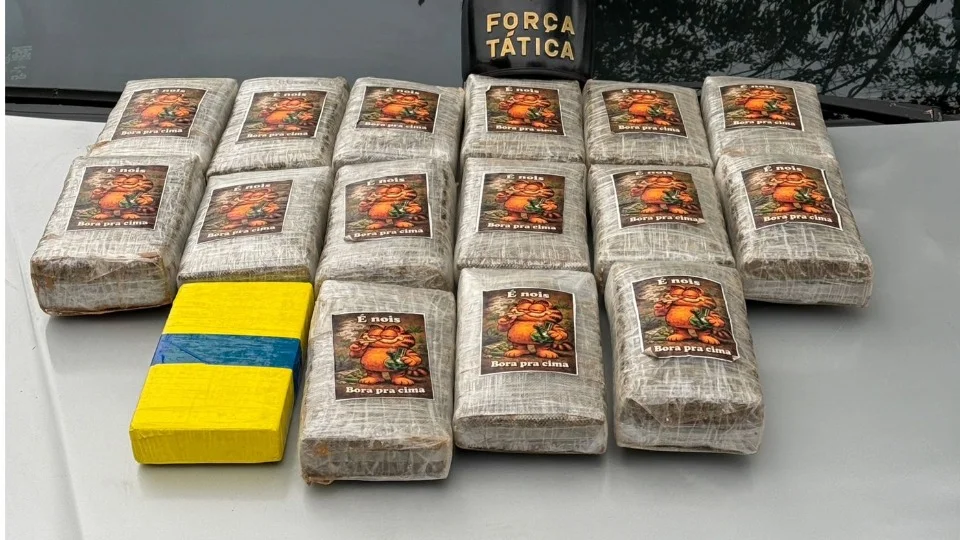 Polícia apreende grande quantidade de drogas em RO