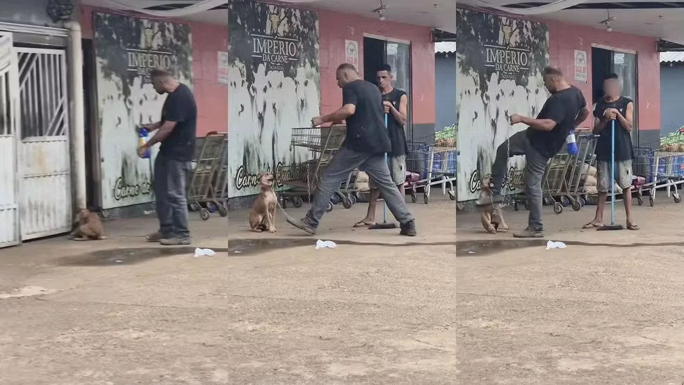 Homem é preso após ser filmado agredindo cachorro em RO
