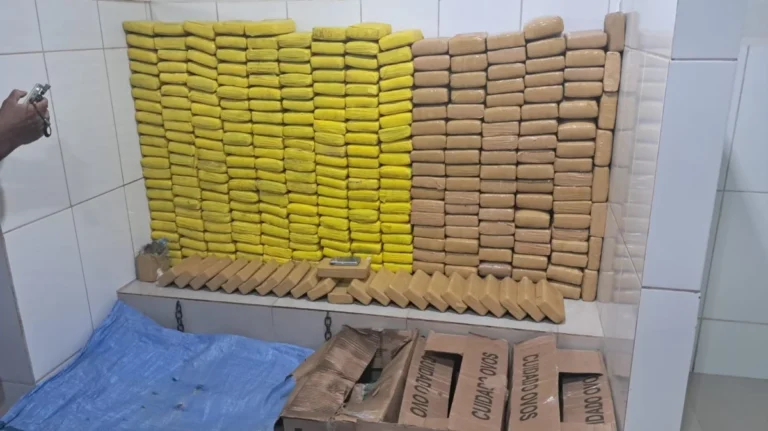 Grande apreensão de drogas é registrada em Cacoal