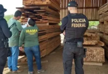 PF faz operação contra crimes ambientais em Rondônia