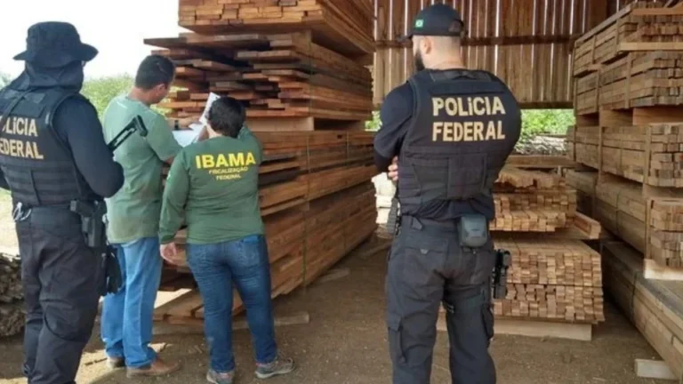 PF faz operação contra crimes ambientais em Rondônia