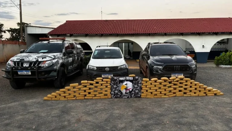 Maconha saída de RO é interceptada no MT