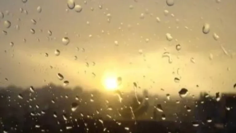Quinta-feira de calor e pancadas de chuva em RO