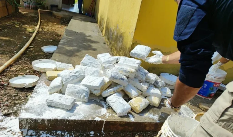 Supermaconha: carga der 160 kg é apreendida em RO