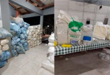 Toneladas de drogas são apreendidas em RO