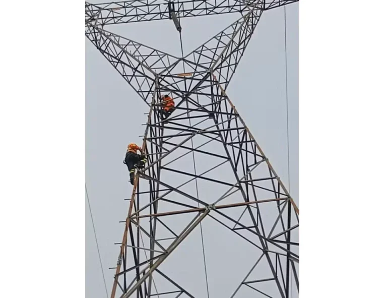 Criança de 5 anos é salva após subir em torre em RO