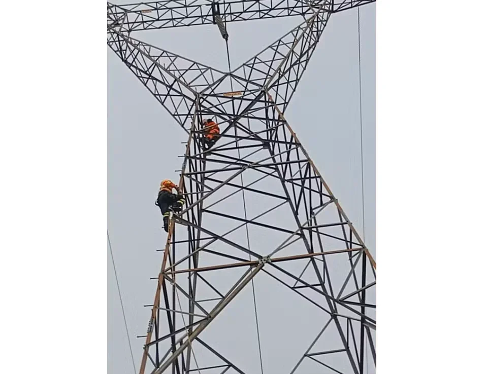 Criança de 5 anos é salva após subir em torre em RO