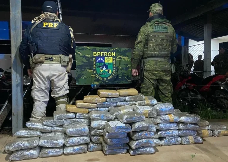 Mais de 100 kg de skunk são apreendidos em RO