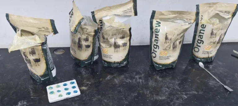 Cocaína enviada pelos Correios é interceptada em RO