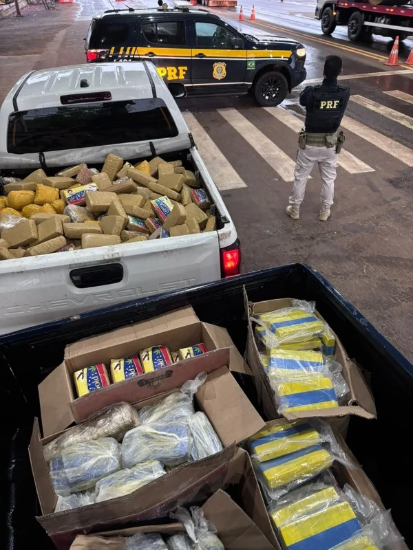 Motorista é preso com meia tonelada de drogas em RO