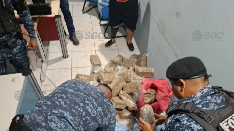 Denúncias revelam depósito com 101 kg de drogas em RO